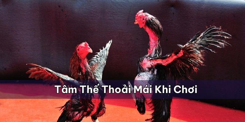 Chơi trong tâm thế thoải mái và dễ chịu nhất